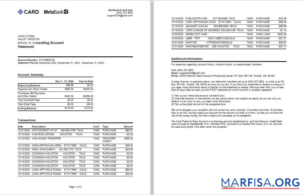Realistic USA Meta bank card statement word 2 pages example